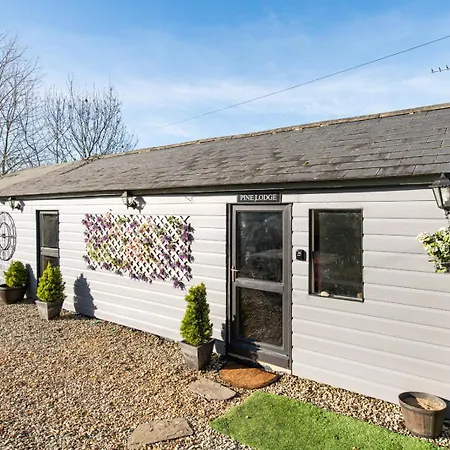 The Pine Including Games Room, Camp Fire & Hot Tub * Bristol